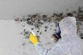 Best Residential Mold Inspection & Testing  in Gladewater, TX